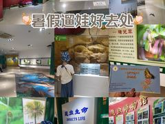 -上海昆虫博物馆