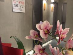 -施奈儿.洗头頭療.按摩SPA.采耳(上梅林店)