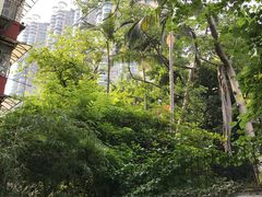 景观位-拾壹cafe·工作室