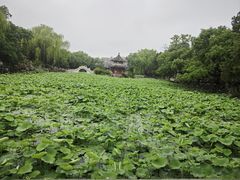 -莲池书院博物馆