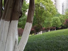 -龙头寺公园