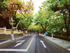 -八大关景区