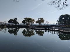 -无锡蠡湖国家湿地公园-蠡园