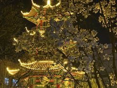 -保定理工学院(保定校区)