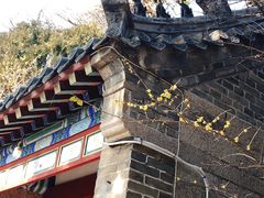 -青岛崂山太清宫