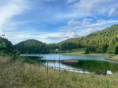 -武陵山森林公园