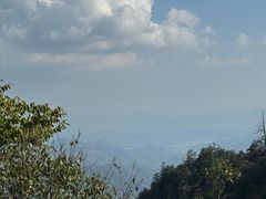 -天目山大树王景区