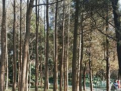 -长乐公园游乐场