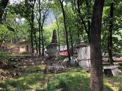 -北京上方山国家森林公园