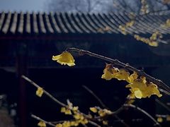 -月坛公园