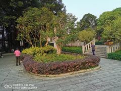 -乌山风景区