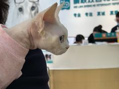 -美联众合动物医院·24h转诊中心