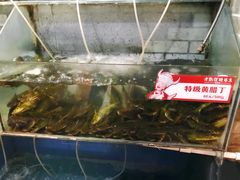 -老凯俚酸汤鱼(鸿通城店)