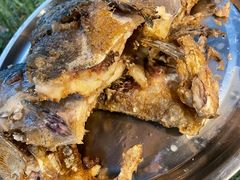 -肖肖酸萝卜鱼火锅(总店)