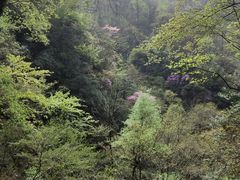 -藏龙百瀑风景区