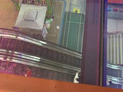 -四维羽毛球馆(北二中路店)