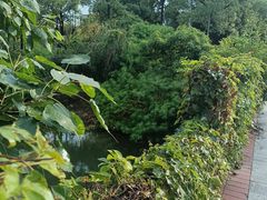 -华侨大学(厦门校区)
