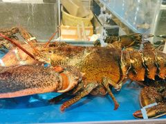 -神洲四海大酒楼(王府井澳门中心店)