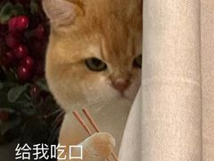 -高福麻辣烫(新阳店)