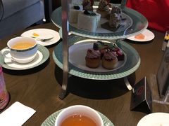 -苏州希尔顿酒店·园大堂吧
