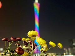 -海心沙亚运公园