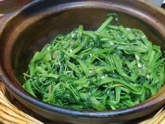 -熠盛粤味·顺德桑拿鸡(永康路店)