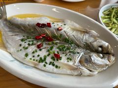 清蒸白鱼-品鲜村农家菜·阳澄湖大闸蟹(总店)