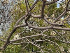 -苏州河梦清园环保主题公园