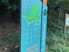 -上海佘山国家森林公园天马山园