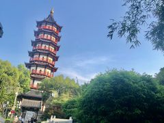 -绳金塔