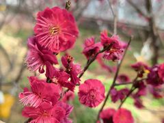 -鹫峰国家森林公园