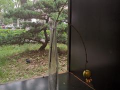 -元白和创园展厅