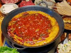 -阳阳老火锅(小南门店)