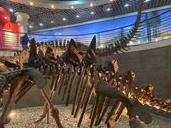 -国家自然博物馆