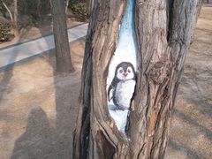 -迎泽公园