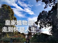 -悉尼歌剧院