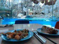 -帝企鹅自助餐厅•儿童岛•真企鹅(长隆企鹅酒店)