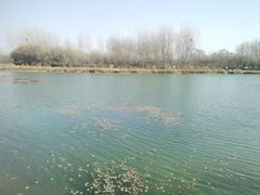 -淇河国家湿地公园