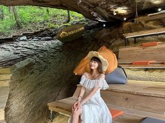 -洛阳白云山景区