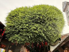 -糖潮糖水铺(省府店)