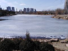 -护国法轮寺