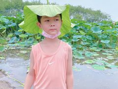 -丁香湖公园