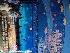 -烟台海昌鲸鲨海洋公园