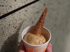 -Dip in Gelato(富民路店)