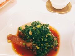 -西郊5号·Maggie 5