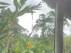 -热带雨林自然公园