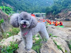 -兴隆红河漂流