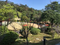 -森波拉火山温泉