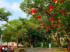 -珠海圆明新园