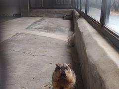-攀枝花公园